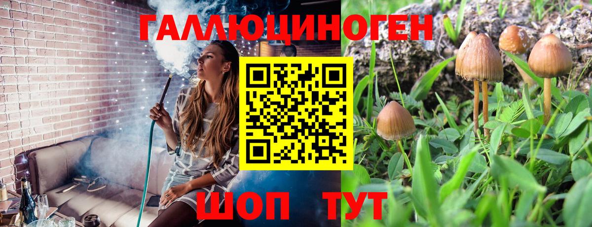 Галлюциногенные грибы мицелий  Вход с VPN  Батайск 